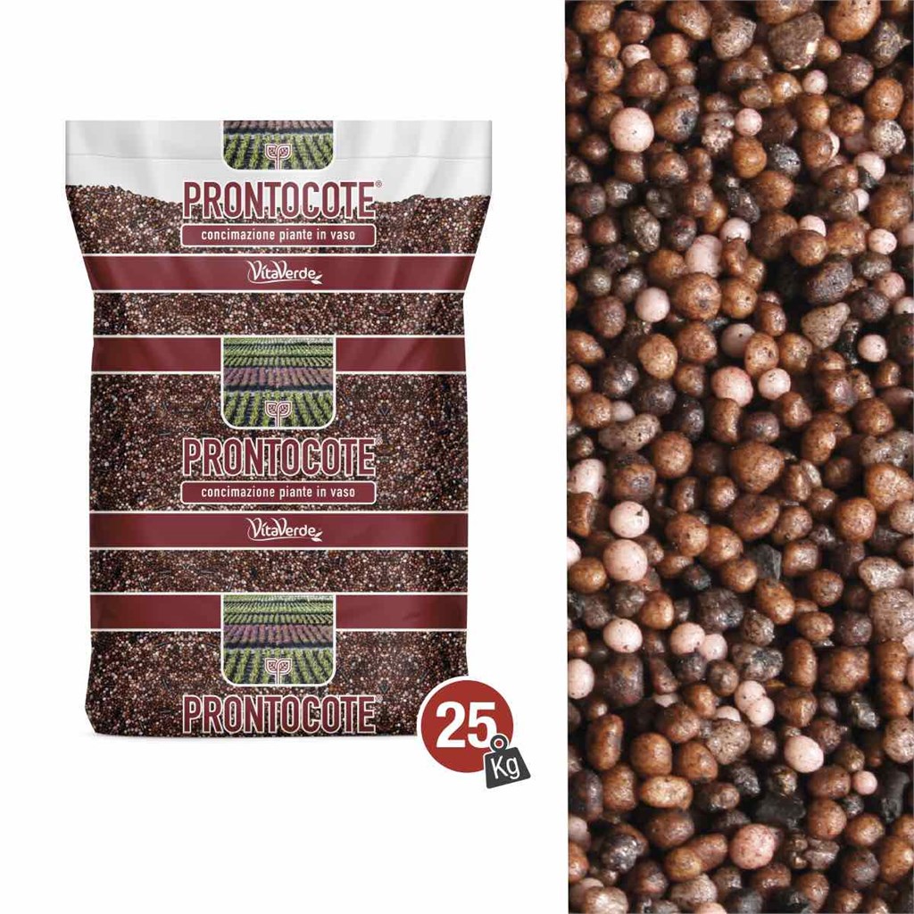 N. 7 PRONTOTOTE 4S (19-10-11+3+10) - 4 MESI - CON COLLANTE - KG 25